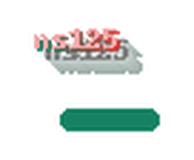 ns125 logo